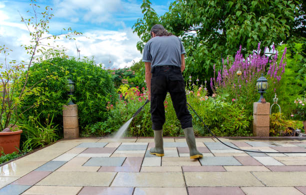 Animal Enclosure Cleaning in Hampton, IL